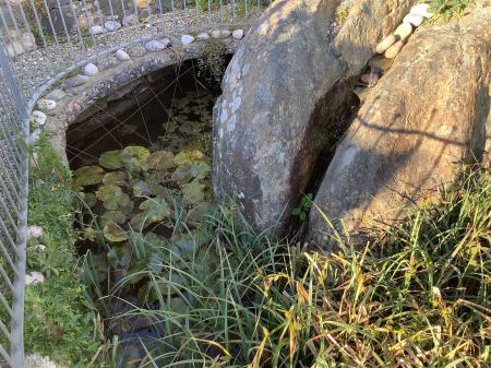 image2 (4).jpeg