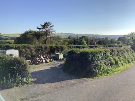 image3 (2).jpeg