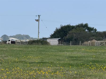 IMG_4842.JPG