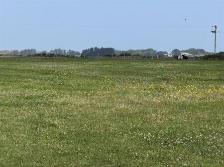 IMG_4839.JPG