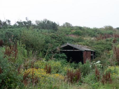 Porthgain3.jpg