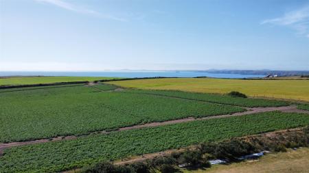 dji_fly_20250709_154136_330_1752073122055_photo_op