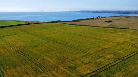 dji_fly_20250709_154402_341_1752073106718_photo_op