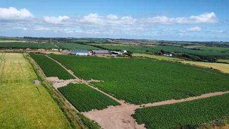 dji_fly_20250709_160620_363_1752073639300_photo_op