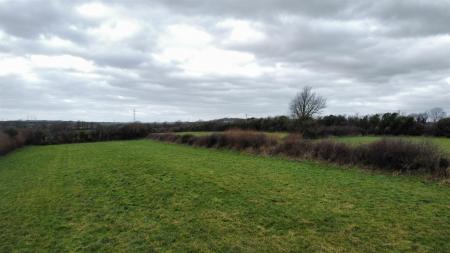 dji_fly_20250207_130814_26_1738934366251_photo_opt