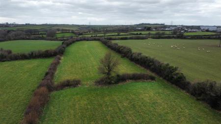 dji_fly_20250207_131202_36_1738933944614_photo_opt