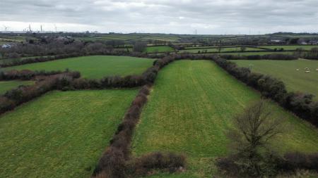 dji_fly_20250207_131206_37_1738933981207_photo_opt