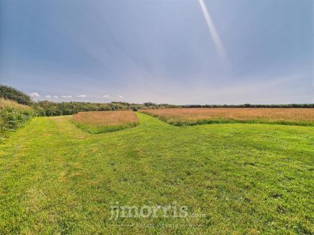 Externally & The Land