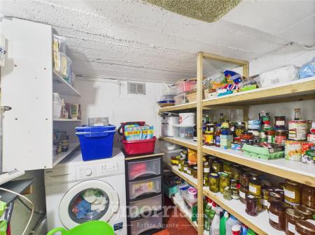 Cellar