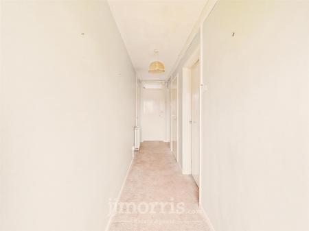 CAM02121G0-PR0160-STILL001.jpg