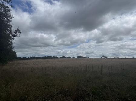 IMG_7327.jpeg