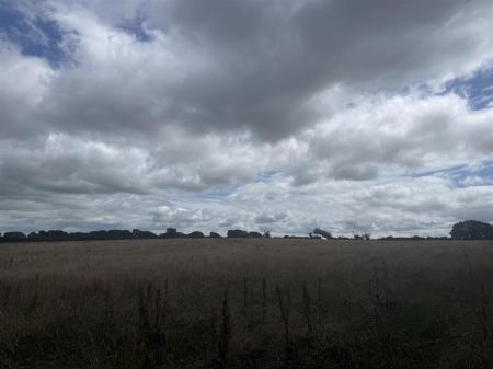 IMG_7328.jpeg