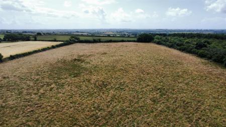 dji_fly_20250714_124054_417_1752494355256_photo_op