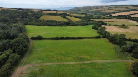 dji_fly_20250716_105524_447_1752659885790_photo_op