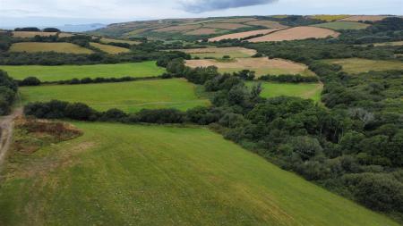 dji_fly_20250716_105442_443_1752659909777_photo_op