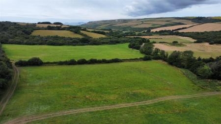 dji_fly_20250716_105600_450_1752659839299_photo_op