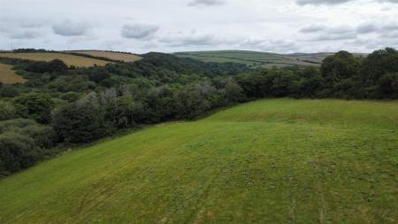 dji_fly_20250716_105550_449_1752659843668_photo_op