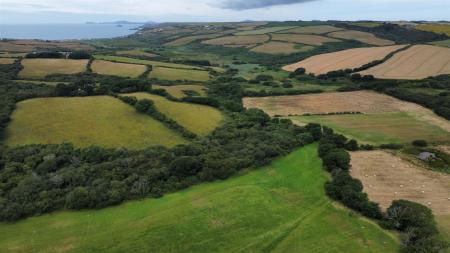 dji_fly_20250716_105706_454_1752659913633_photo_op