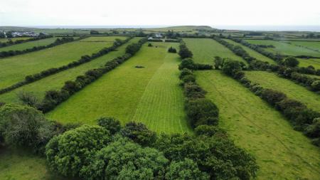 dji_fly_20250606_135524_314_1752849202393_photo_op