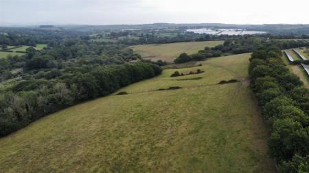 dji_fly_20250811_102700_283_1754904588227_photo_op