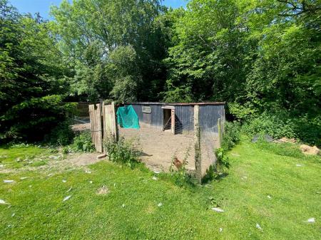 Chicken Shed