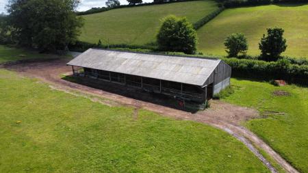 CATTLE SHED