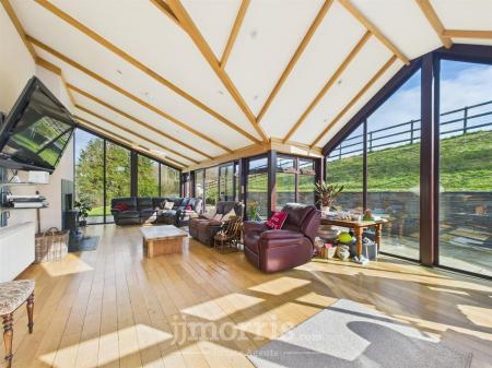 Sun Lounge