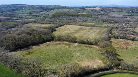 dji_fly_20250411_135310_164_1744376272456_photo_op