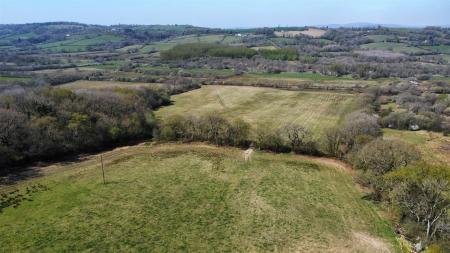 dji_fly_20250411_135258_163_1744376273844_photo_op