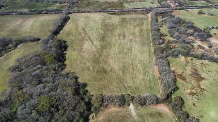 dji_fly_20250411_135600_177_1744376280373_photo_op
