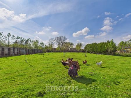 CAM02878G0-PR0022-STILL039.jpg