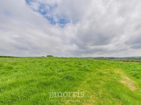 The Land