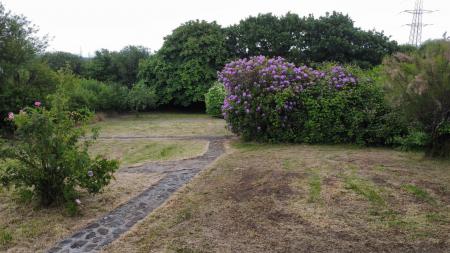 Grounds