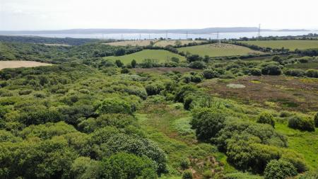 dji_fly_20250523_132504_34_1748003571637_photo_opt