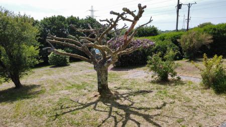 dji_fly_20250523_132828_43_1748003560055_photo_opt