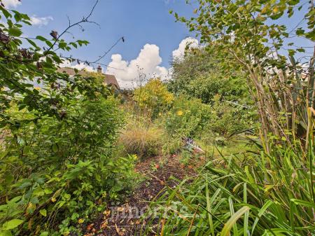 CAM02878G0-PR0073-STILL007.jpg