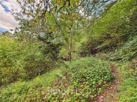 CAM02878G0-PR0076-STILL022.jpg