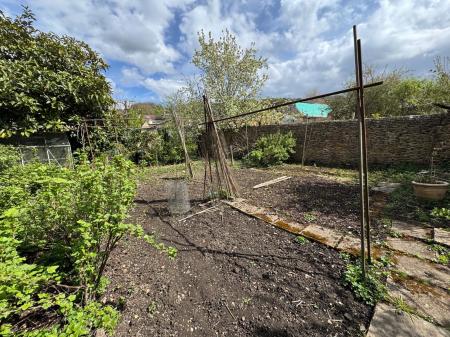 image29