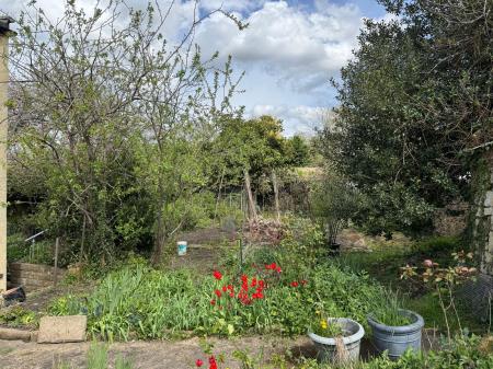 image25