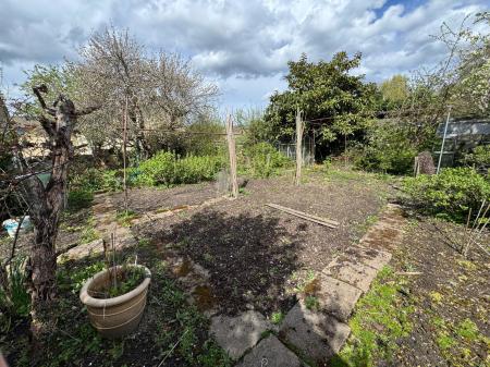 image28