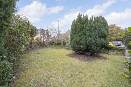 image29