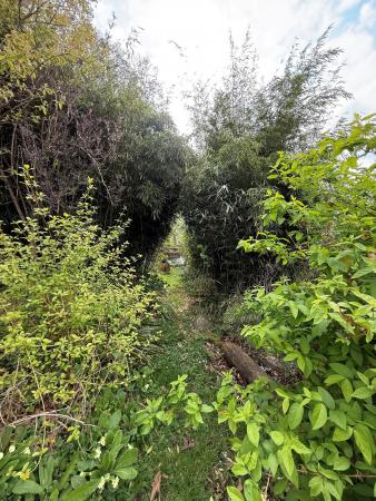 image21