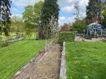 image25