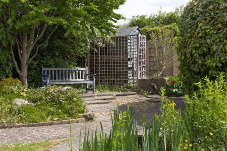 image14