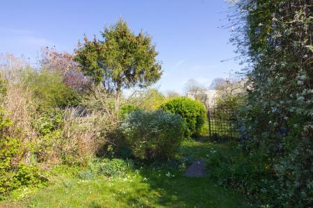 image20