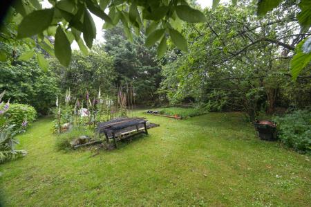 image24
