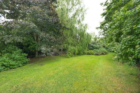 image25