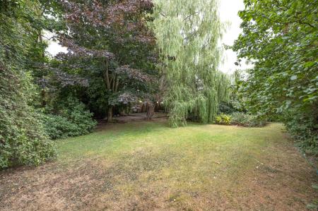 image33