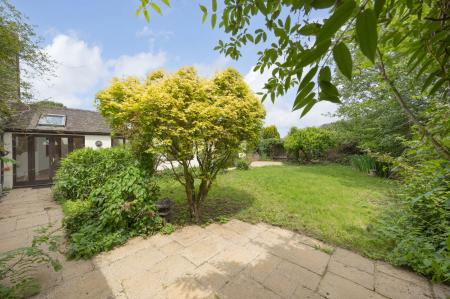 image24