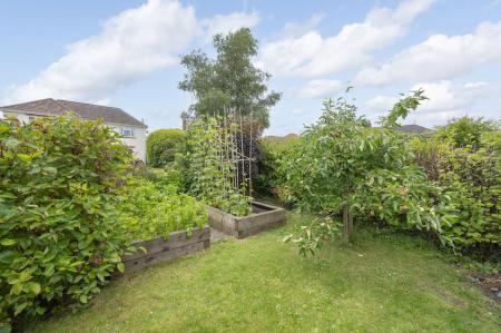 image28